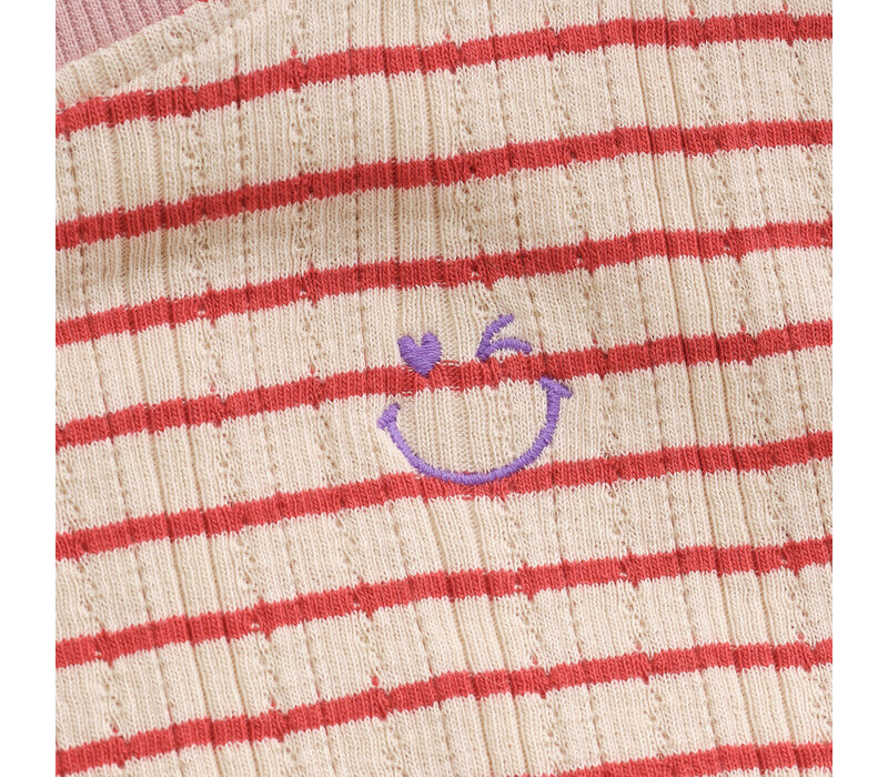 Daily Seven T-shirt Longsleeve Stripe Baked Apple