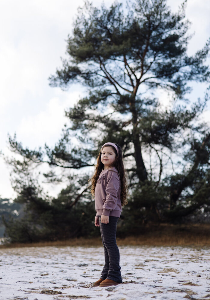 Levv LW252VEDETTA Pink Red