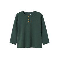 Name it NMMNOTE LS GRANDAD TOP Garden Topiary