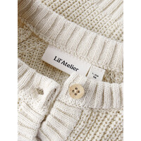 Lil' Atelier NBFEMLEN LEN LS KNIT CARD LIL Turtledove
