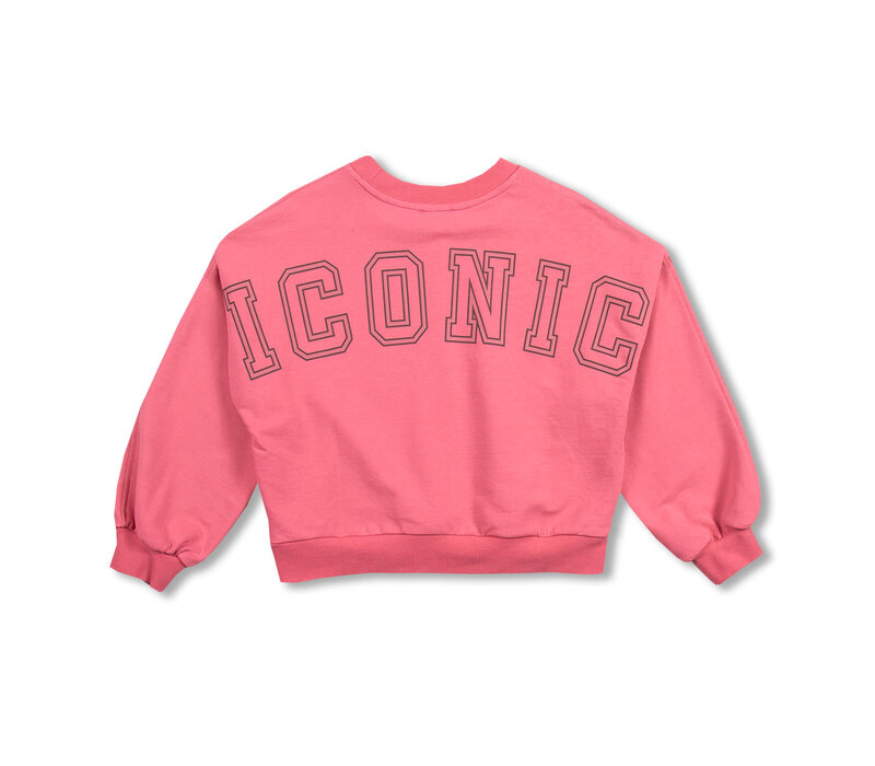 Petit Blush Luca Sweater Iconic Fruit Dove