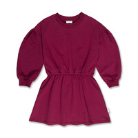 Petit Blush Skater Dress Blush Beaujolais
