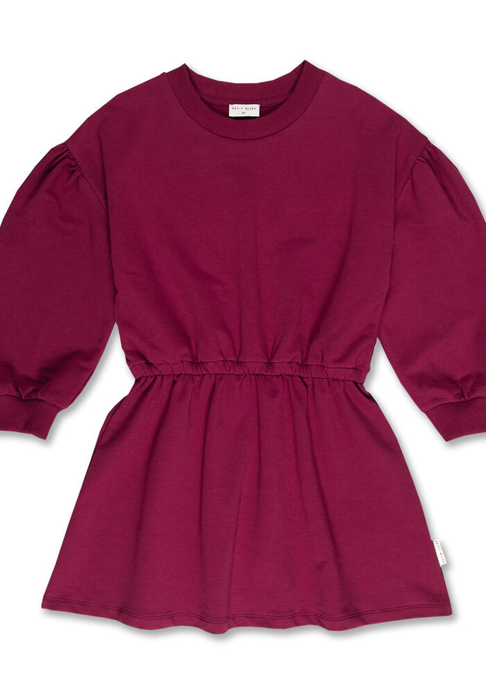 Petit Blush Skater Dress Blush Beaujolais