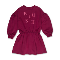 Petit Blush Skater Dress Blush Beaujolais