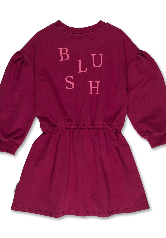Petit Blush Skater Dress Blush Beaujolais