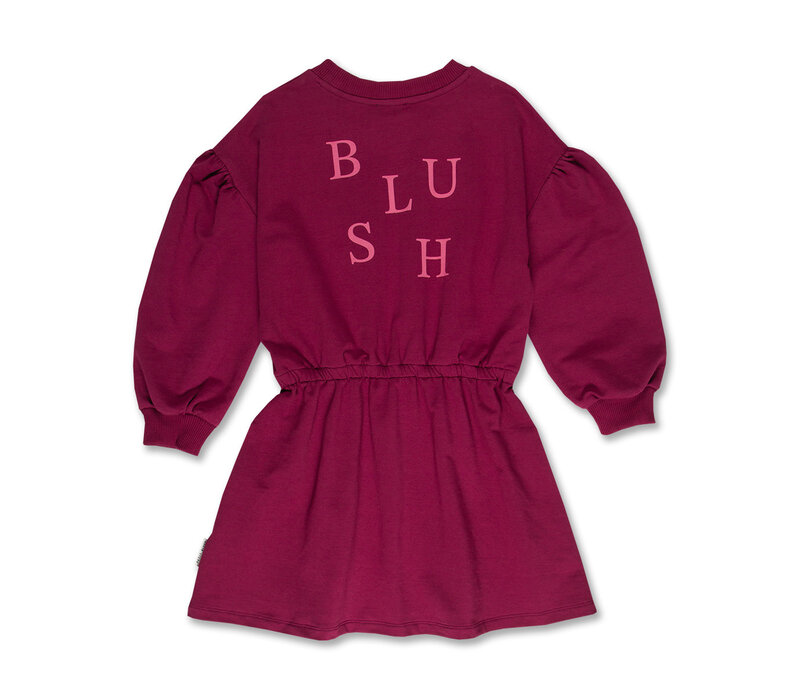 Petit Blush Skater Dress Blush Beaujolais