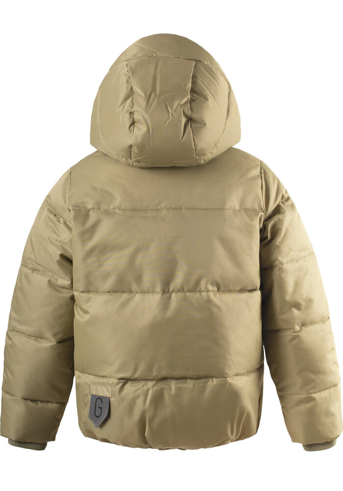 Gosoaky DRAGON EYE gray green