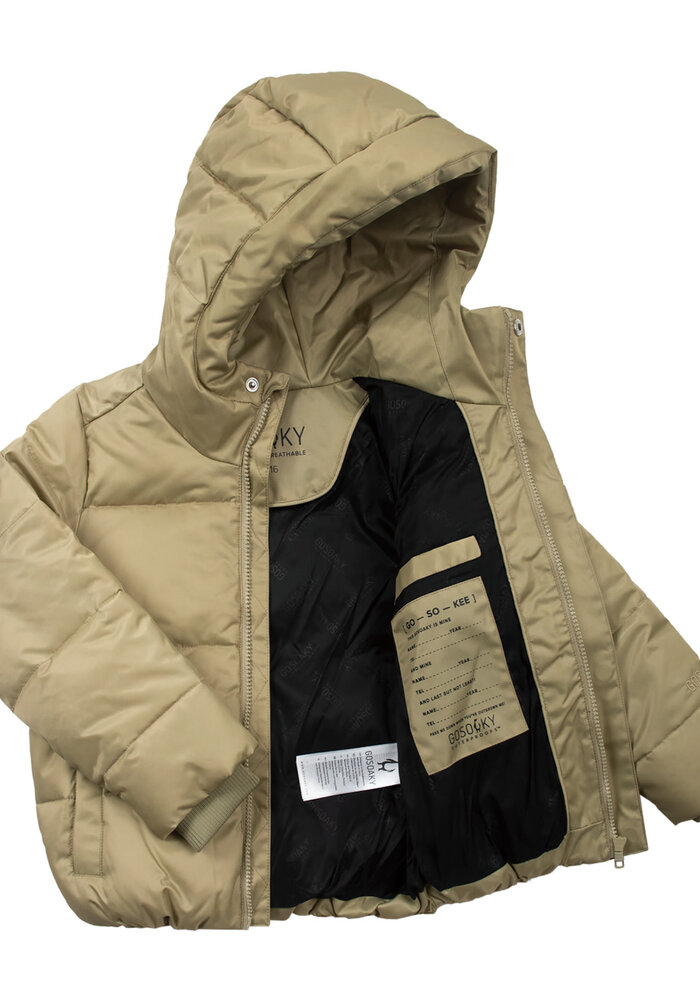 Gosoaky DRAGON EYE gray green