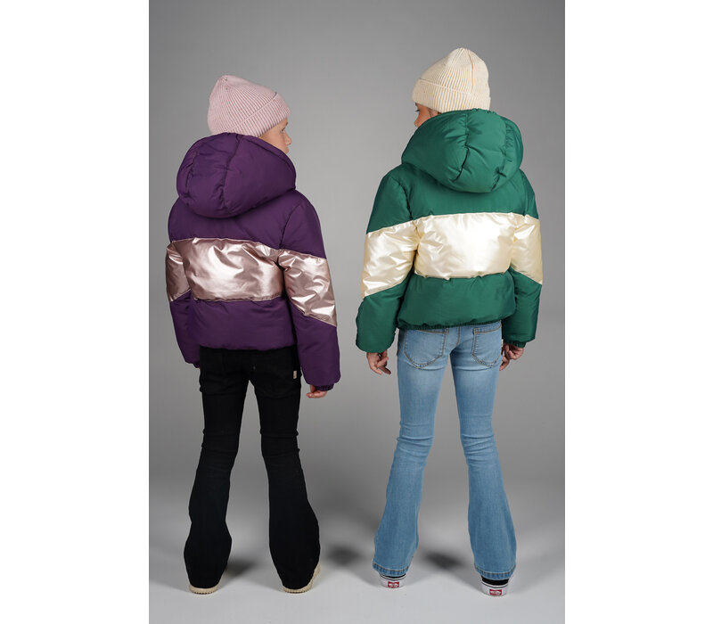 Moodstreet JONI dull & shiny combo jacket Grape