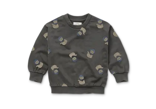 Sproet & Sprout Sproet & Sprout Sweatshirt space cat print  Washed black