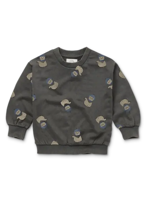 Sproet & Sprout Sproet & Sprout Sweatshirt space cat print  Washed black