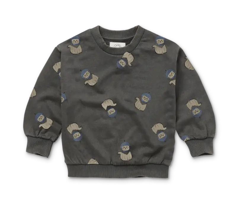 Sproet & Sprout Sweatshirt space cat print  Washed black