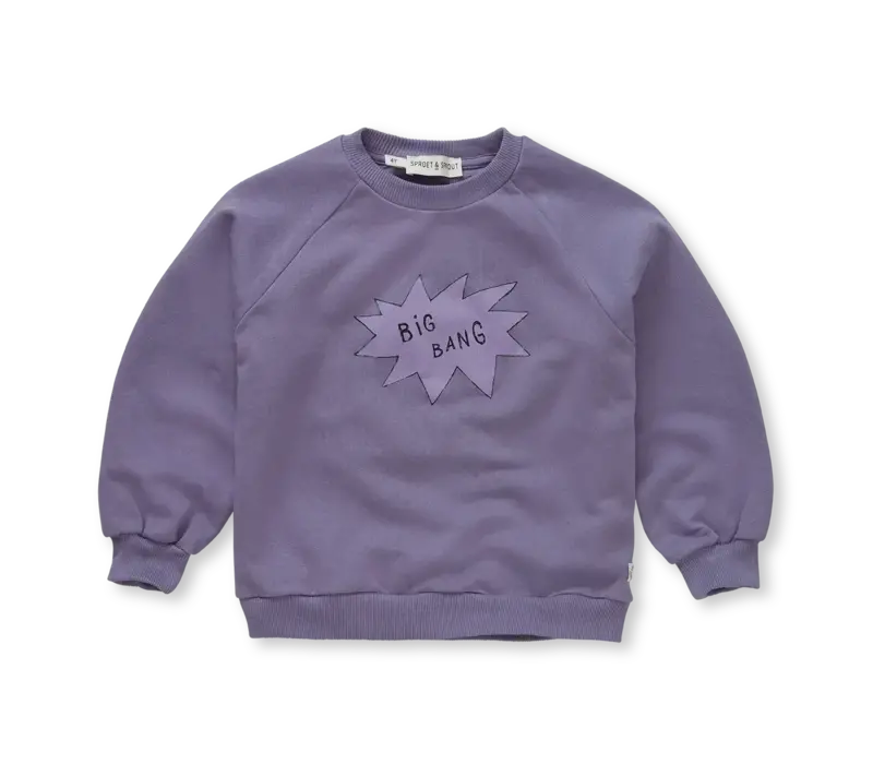 Sproet & Sprout Sweatshirt big bang  Purple night