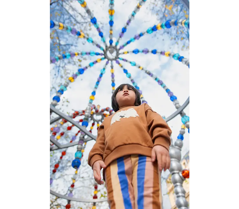 Sproet & Sprout Sweatshirt moustache dog Mocca