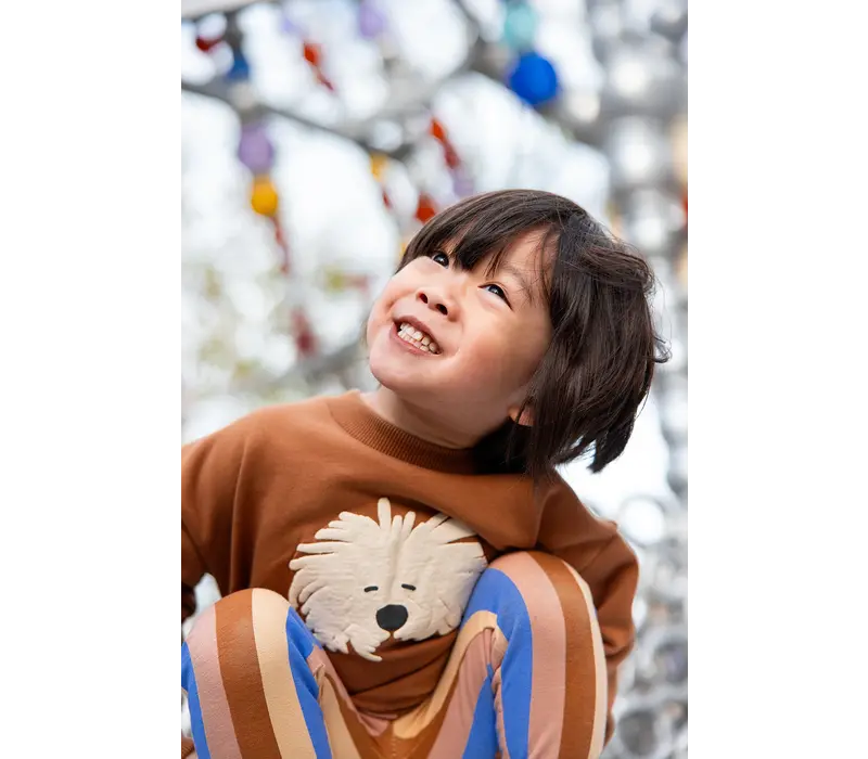 Sproet & Sprout Sweatshirt moustache dog Mocca