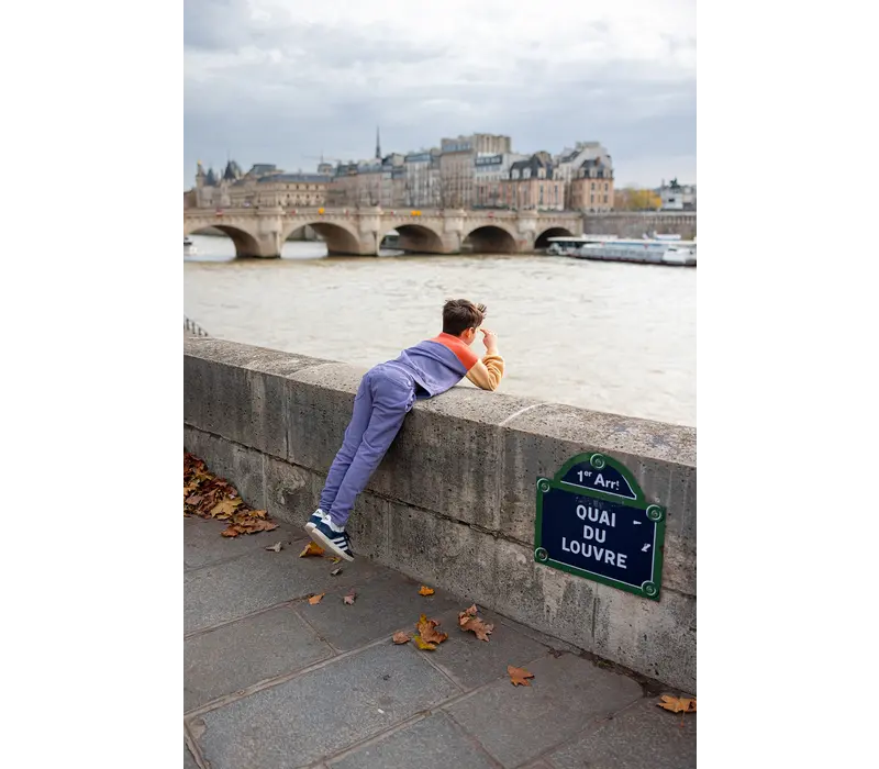 Sproet & Sprout Sweatshirt colourblock Grenadine