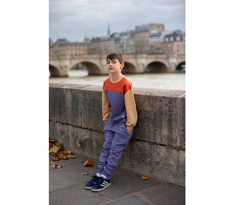 Sproet & Sprout Sweatshirt colourblock Grenadine