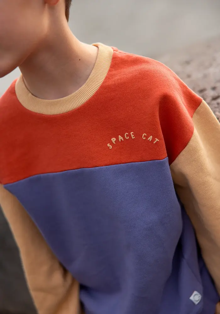 Sproet & Sprout Sweatshirt colourblock Grenadine