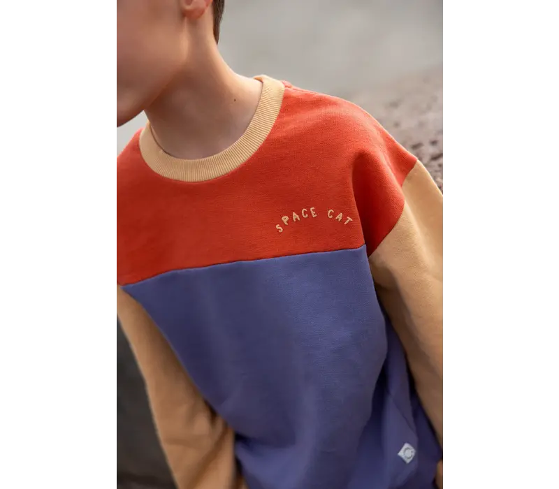 Sproet & Sprout Sweatshirt colourblock Grenadine