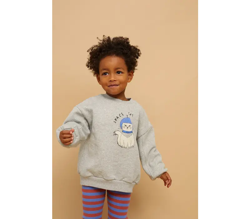 Sproet & Sprout Sweatshirt space cat   Grey melee