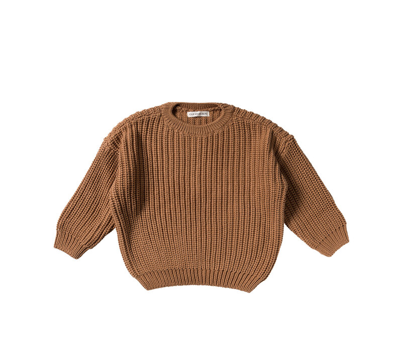 Your Wishes Knit | Chunky Sweater Chipmunk