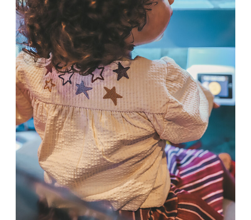 Your Wishes Rolo | Fluid Blouse Birch