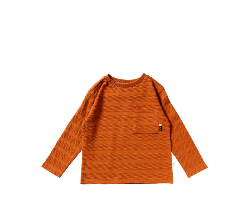 Your Wishes Grain | Regular Longsleeve Bombay Brown