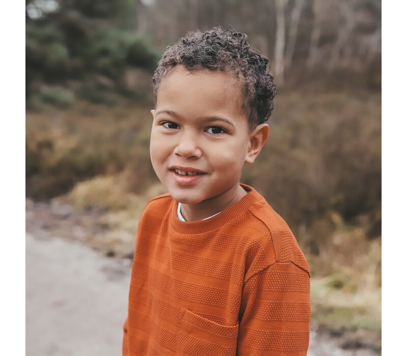 Your Wishes Grain | Regular Longsleeve Bombay Brown