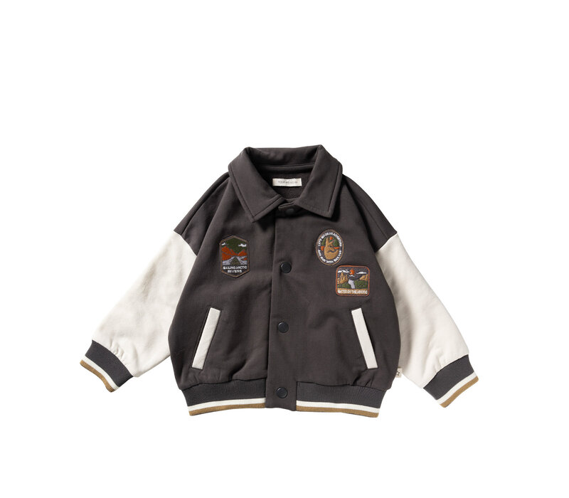 Your Wishes Gates Of The Artic | Bomber Raven