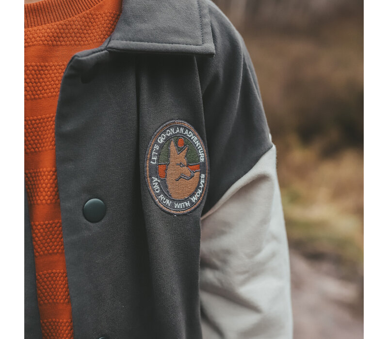 Your Wishes Gates Of The Artic | Bomber Raven