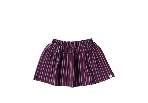 Your Wishes Your Wishes Winner Stripes | Skirt Multicolor