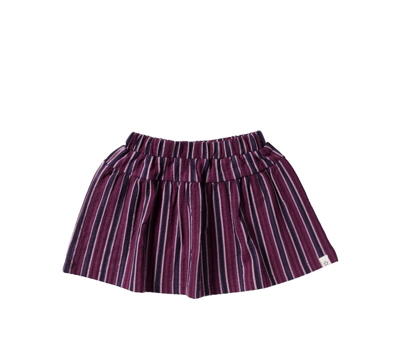 Your Wishes Winner Stripes | Skirt Multicolor