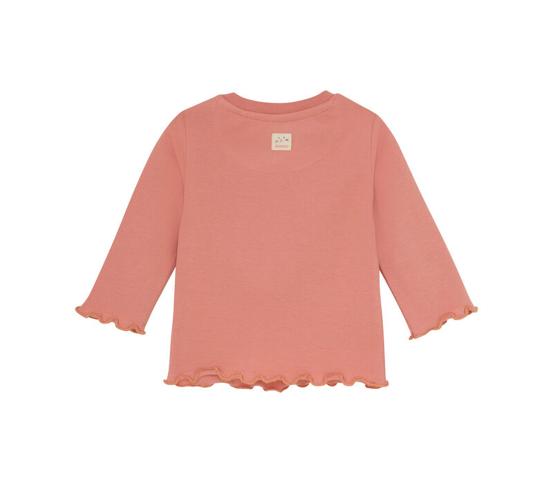 Noppies G Tee Telluride long sleeve Rose