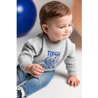 Noppies Boys Sweater Sardesi long sl. Grey