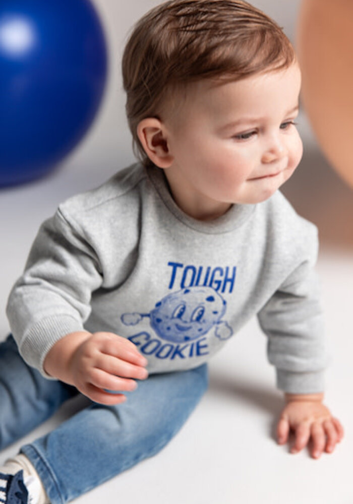 Noppies Boys Sweater Sardesi long sl. Grey