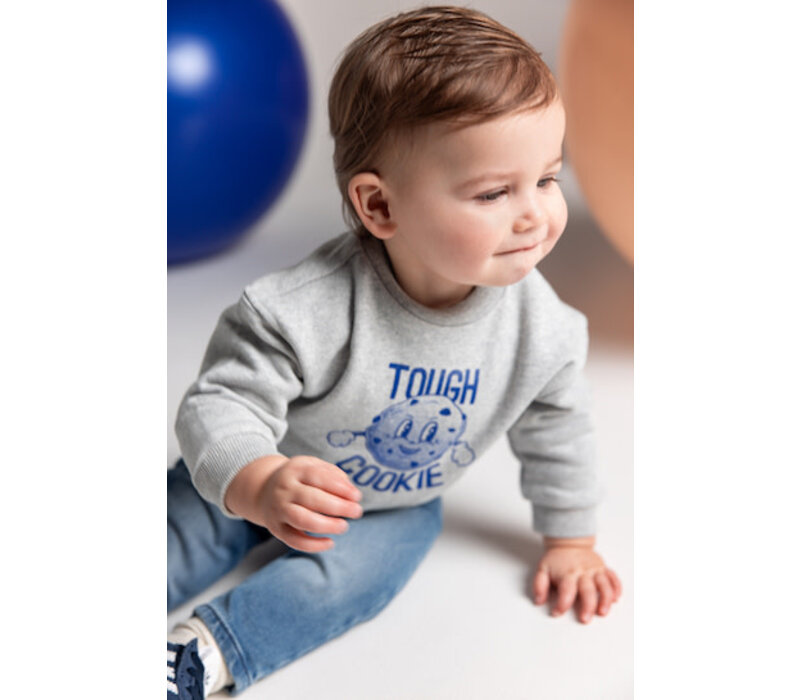 Noppies Boys Sweater Sardesi long sl. Grey