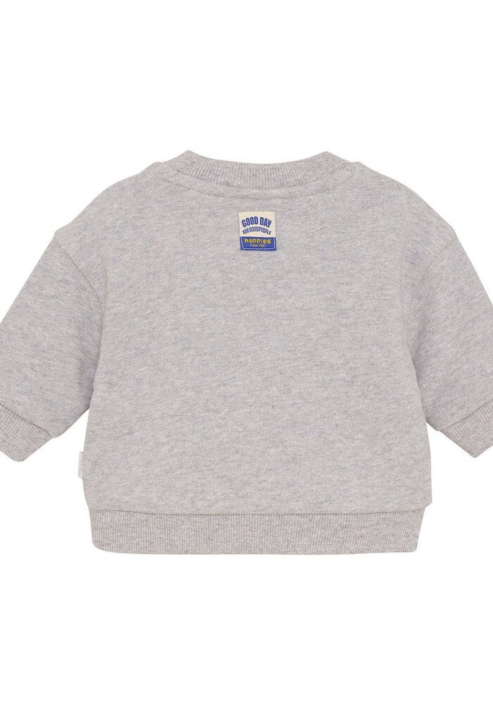 Noppies Boys Sweater Sardesi long sl. Grey