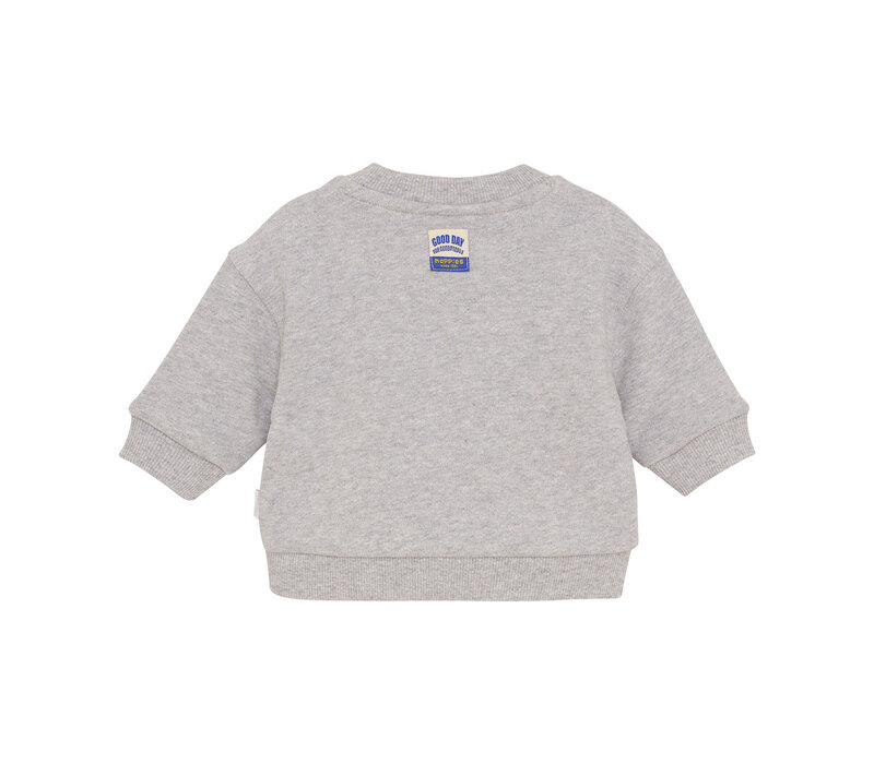 Noppies Boys Sweater Sardesi long sl. Grey
