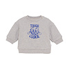 Noppies Noppies Boys Sweater Sardesi long sl. Grey