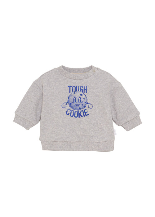 Noppies Noppies Boys Sweater Sardesi long sl. Grey