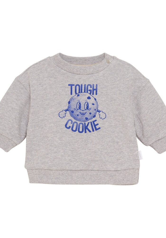 Noppies Boys Sweater Sardesi long sl. Grey