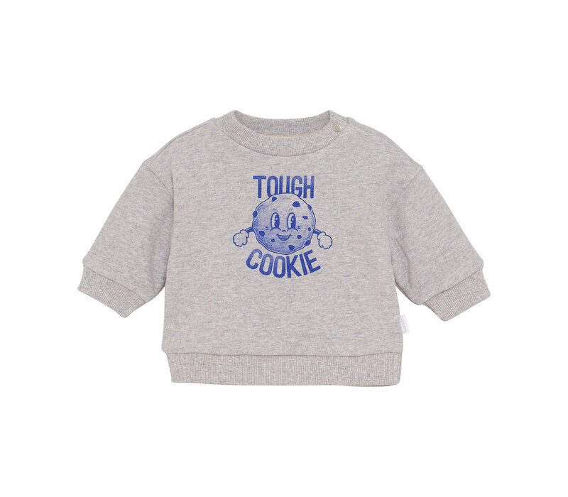 Noppies Boys Sweater Sardesi long sl. Grey