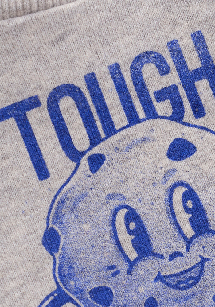 Noppies Boys Sweater Sardesi long sl. Grey