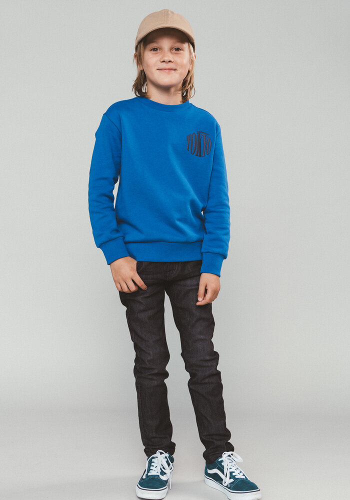 Moodstreet SIMON mount FUJI sweater Japan Sea