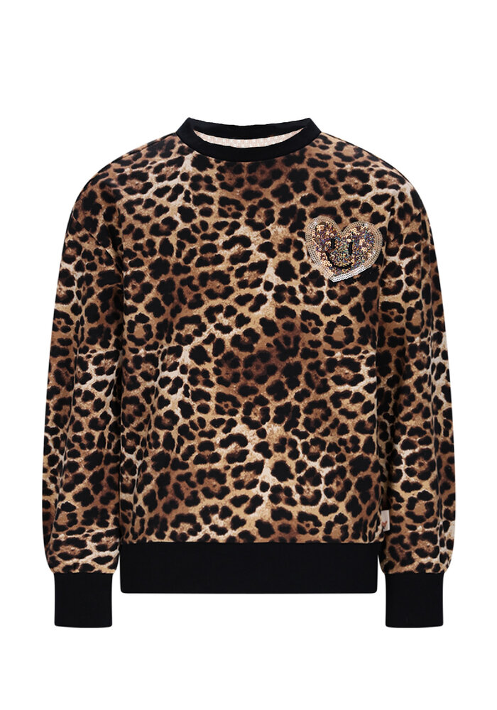 Moodstreet SKY leopard sweater Leopard