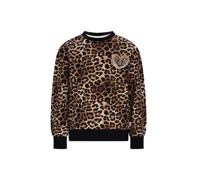 Moodstreet SKY leopard sweater Leopard