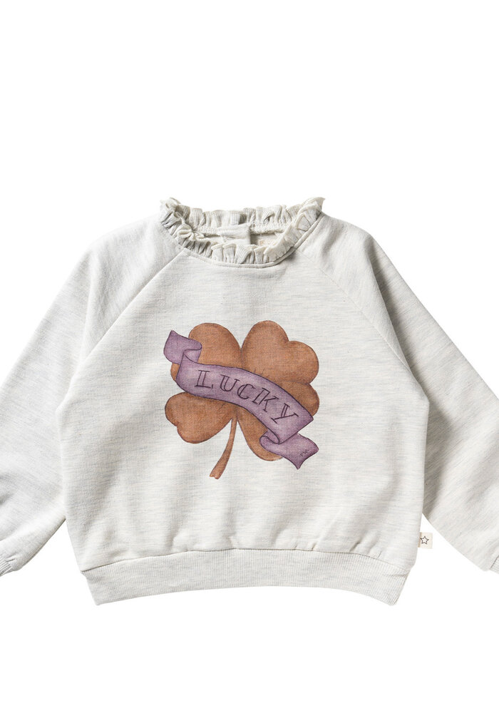 Your Wishes Melange | Ruffle Sweater Birch