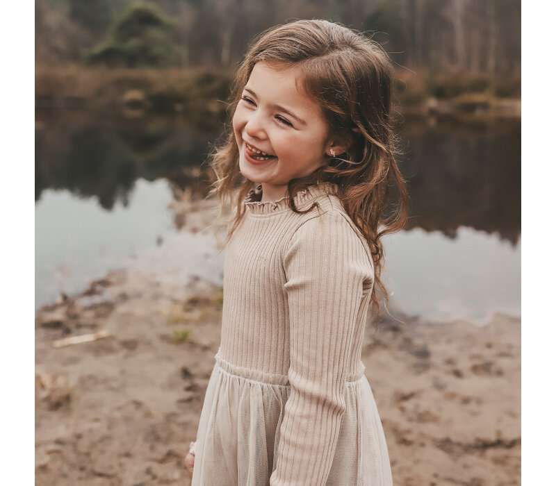 Your Wishes Rib Knit | Tule Dress Oyster Gray