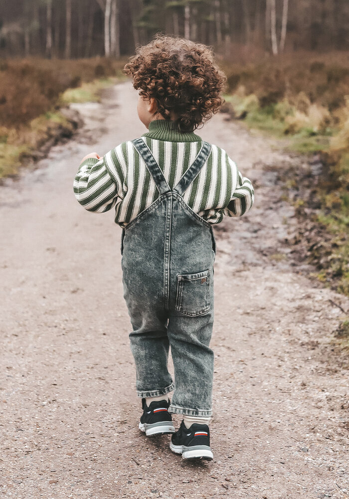 Your Wishes Stripe Knit | Collar Sweater Multicolor