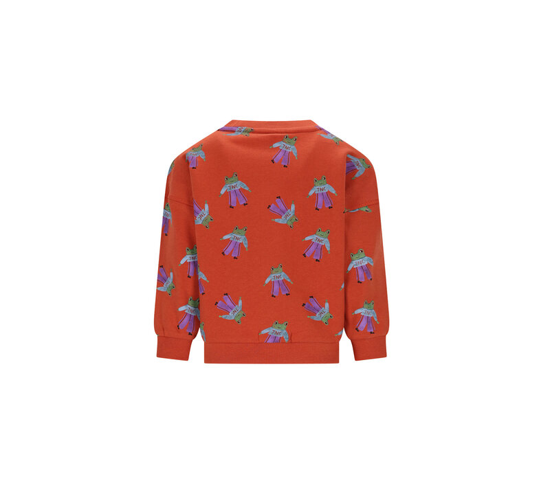 The New Chapter Bobbie sweater Frogs